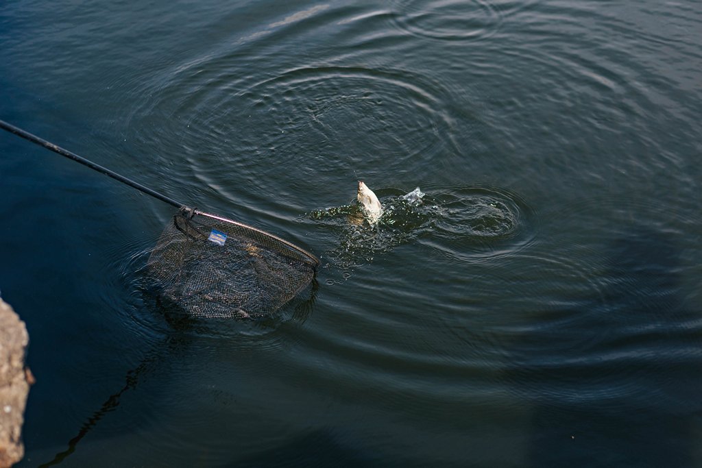 Собираем снасть для ловли на мах 00008.JPG